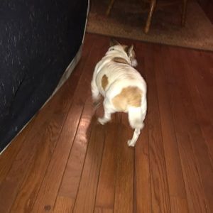 Meet your Posher, Matthew